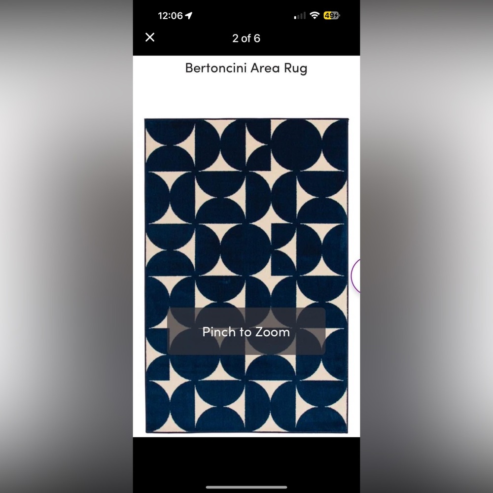 Blue and Cream Area Rug